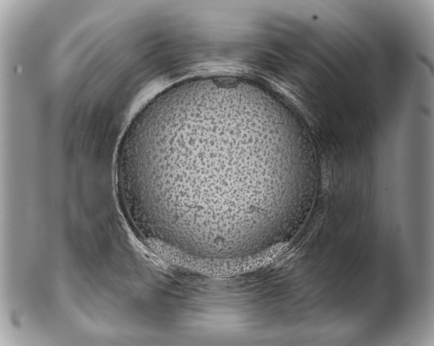 X0000100361471200806201553