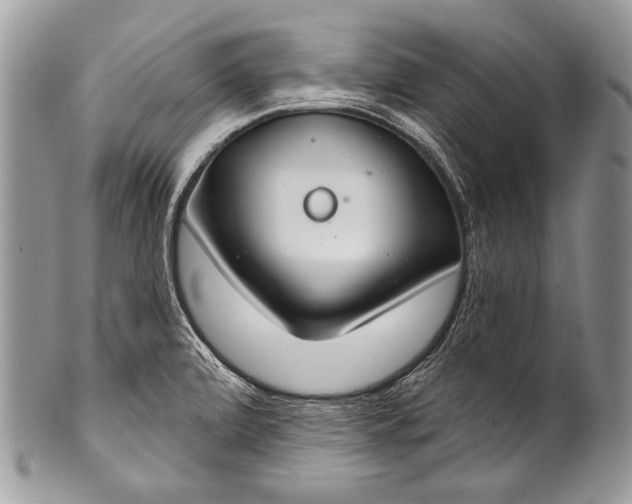 X0000100361472200806201553