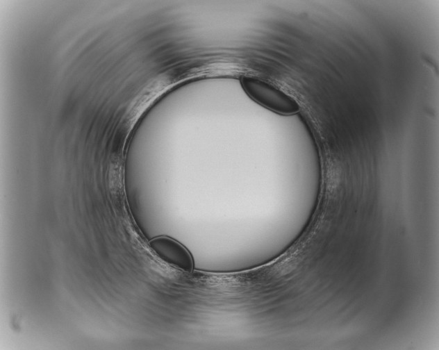 X0000100361473200806201553