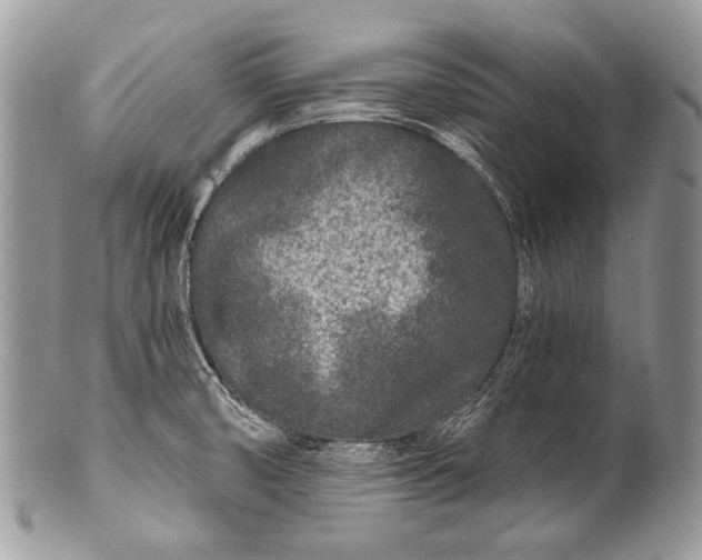 X0000100361474200806201553