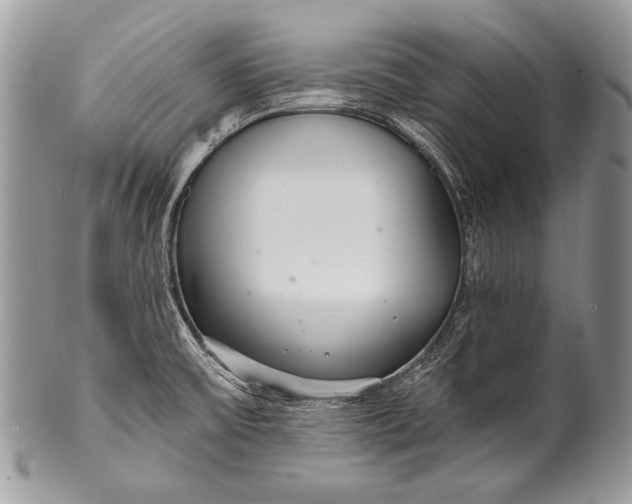 X0000100361475200806201553