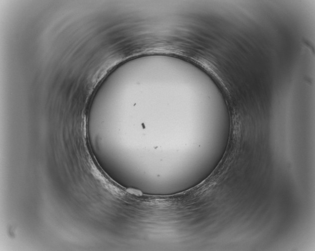 X0000100361476200806201553