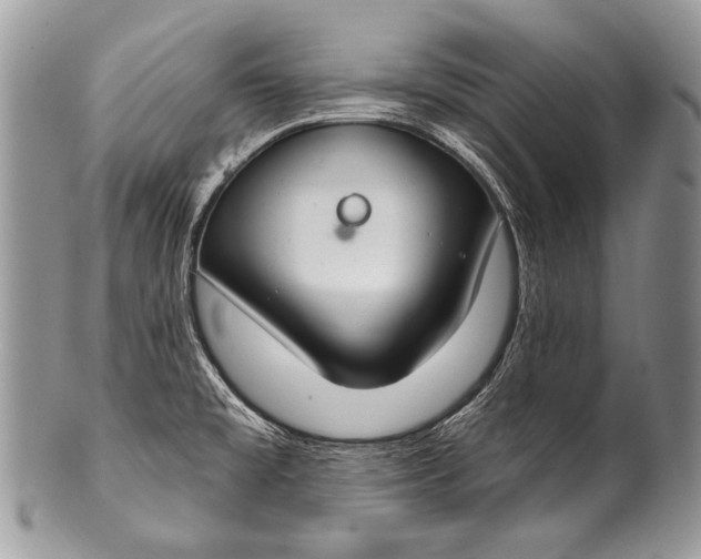 X0000100361477200806201553