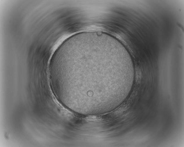 X0000100361478200806201553