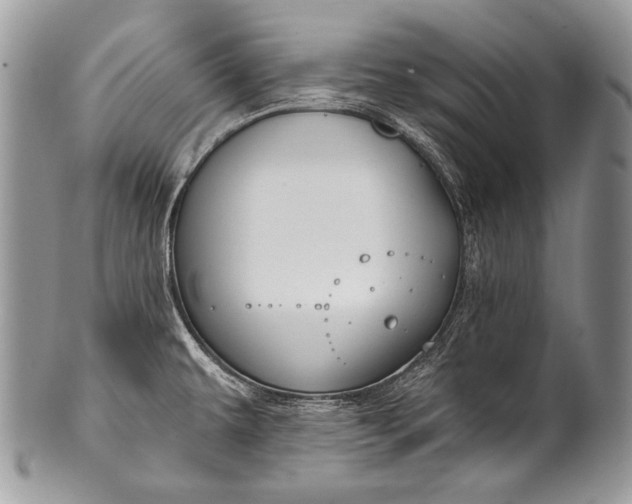 X0000100361479200806201553