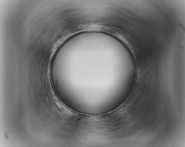 X0000100361480200806201553