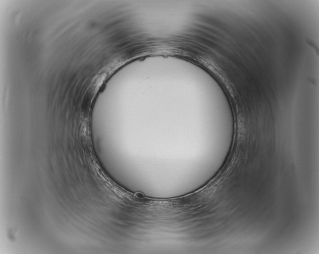 X0000100361481200806201553