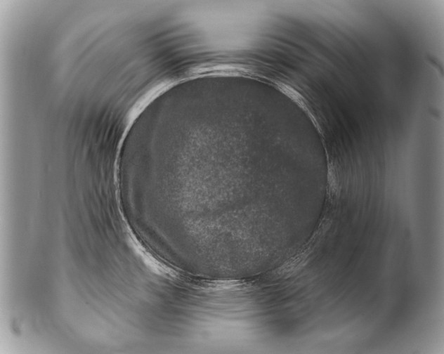 X0000100361482200806201553