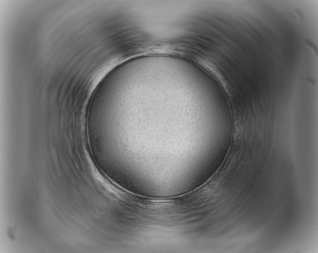 X0000100361483200806201553