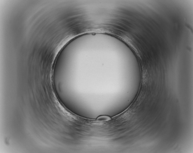 X0000100361484200806201553