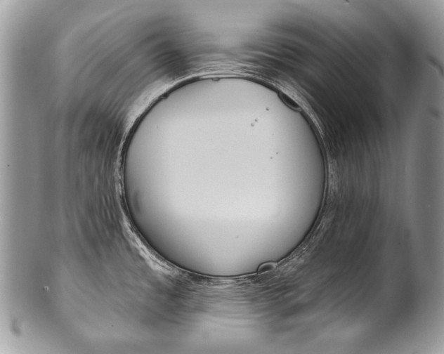 X0000100361485200806201552