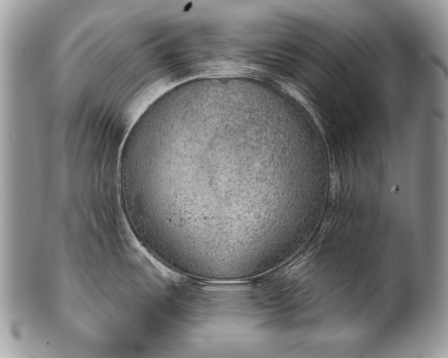 X0000100361487200806201552