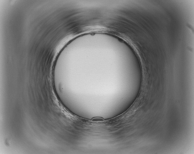 X0000100361488200806201552