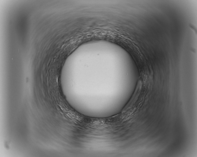 X0000100361489200806201552