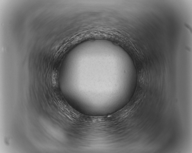 X0000100361490200806201552