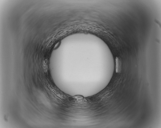 X0000100361491200806201552