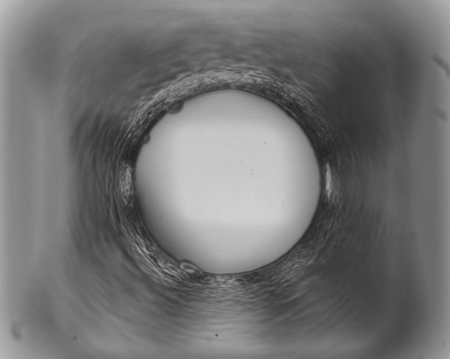 X0000100361492200806201552