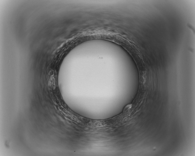 X0000100361493200806201552