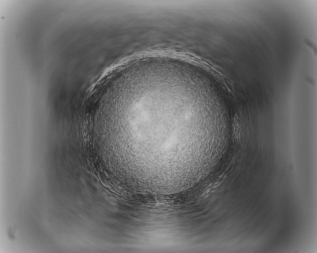 X0000100361494200806201552