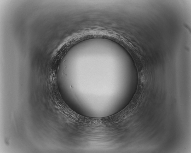 X0000100361495200806201552