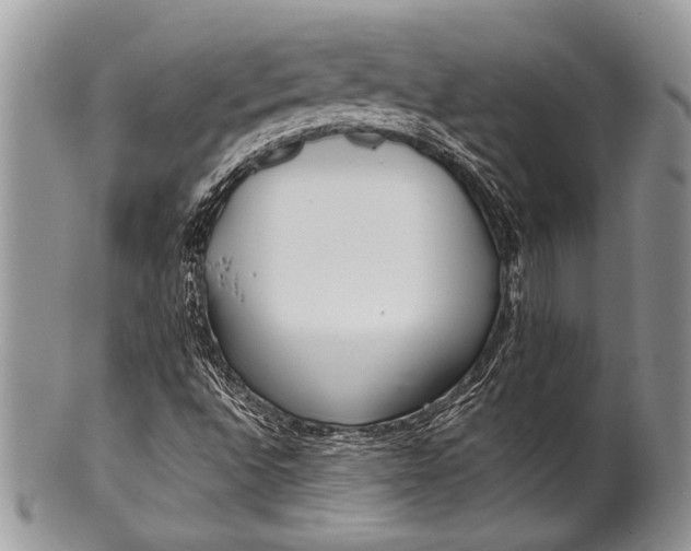 X0000100361496200806201552