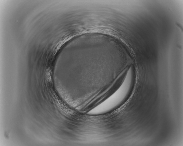 X0000100361497200806201552