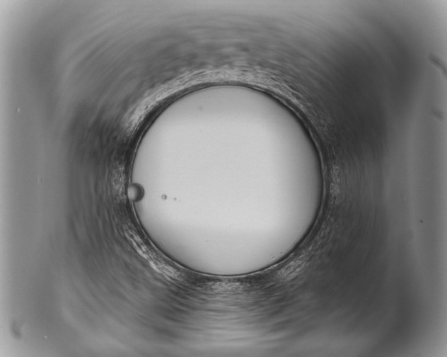 X0000100361499200806201552