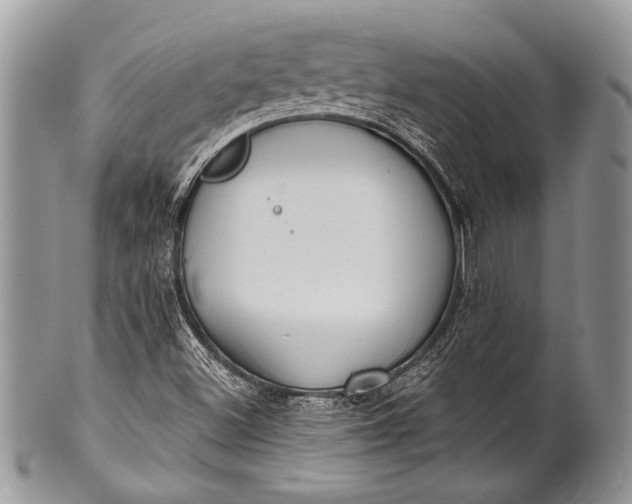 X0000100361500200806201552