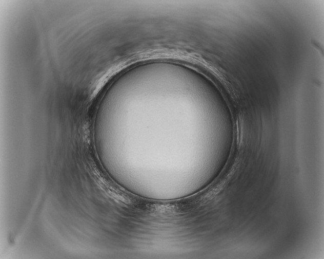 X0000100361501200806201552