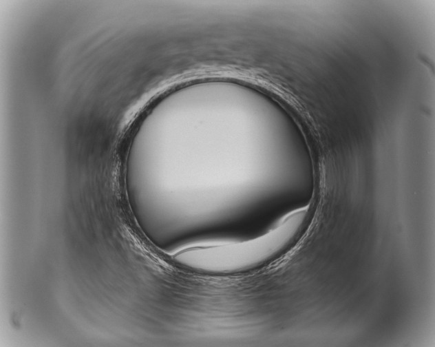 X0000100361502200806201552