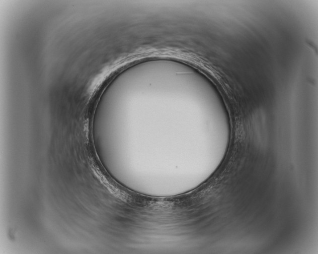 X0000100361503200806201552