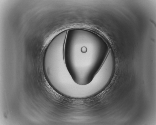 X0000100361504200806201552