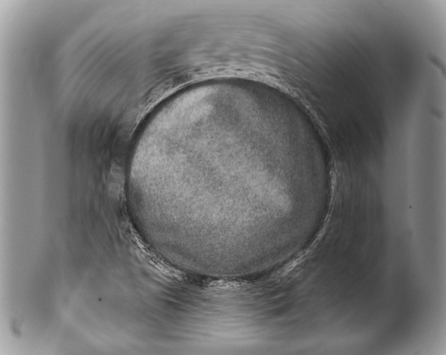 X0000100361505200806201552