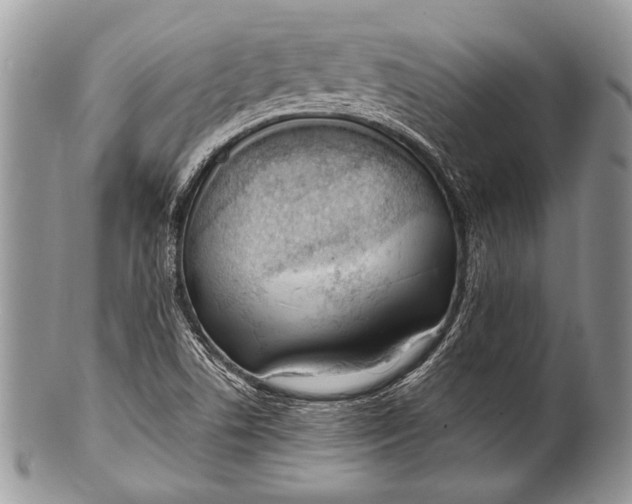 X0000100361506200806201552