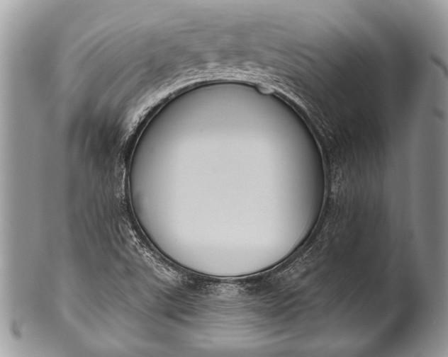 X0000100361507200806201552