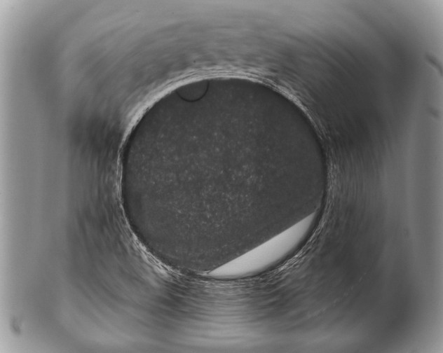 X0000100361508200806201552