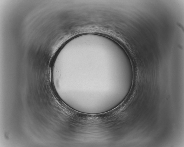 X0000100361509200806201552