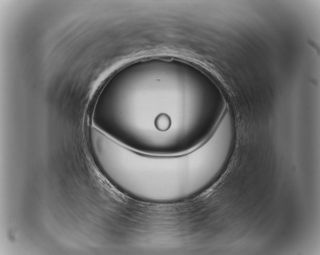 X0000100361510200806201552