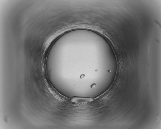 X0000100361511200806201552