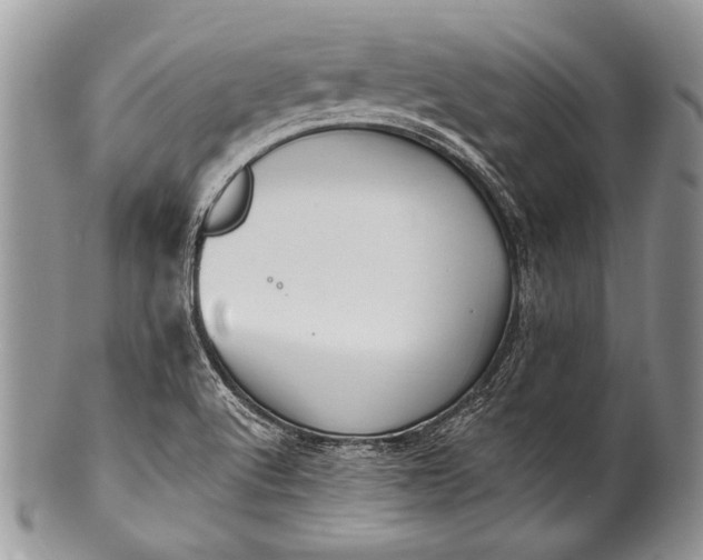 X0000100361512200806201552