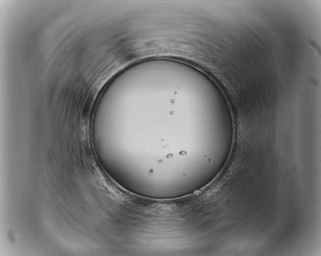 X0000100361513200806201552