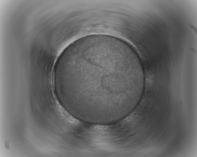 X0000100361514200806201552