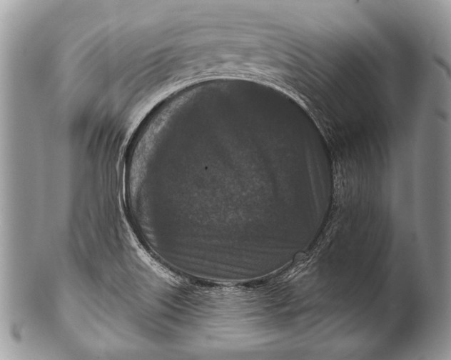 X0000100361515200806201552