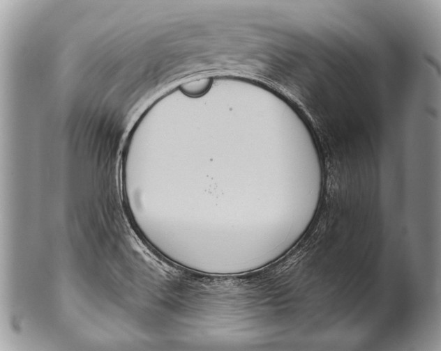 X0000100361516200806201552