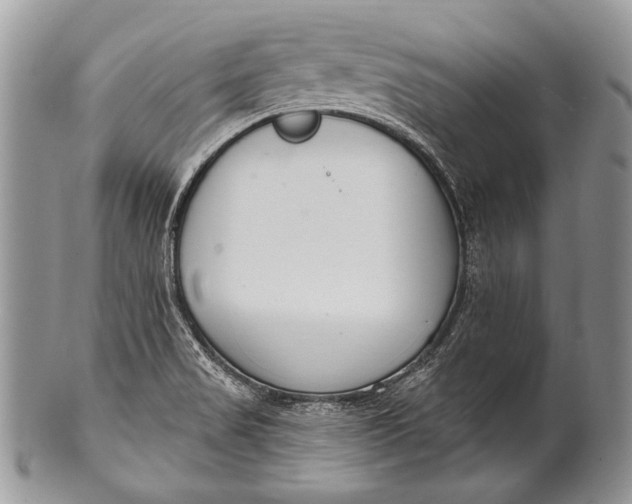 X0000100361517200806201552