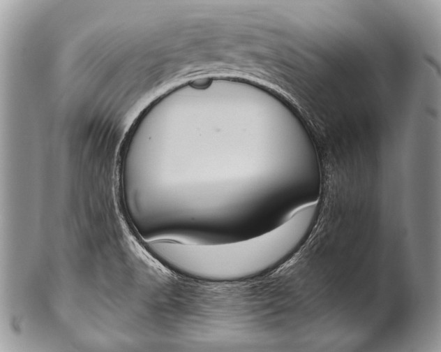 X0000100361518200806201552