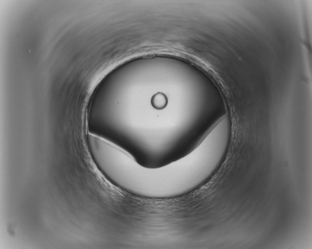 X0000100361520200806201552