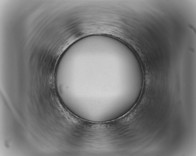 X0000100361521200806201552