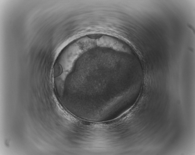 X0000100361522200806201552