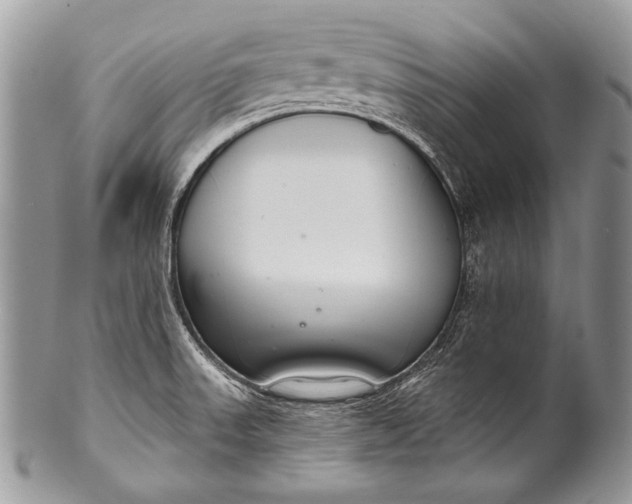 X0000100361523200806201552